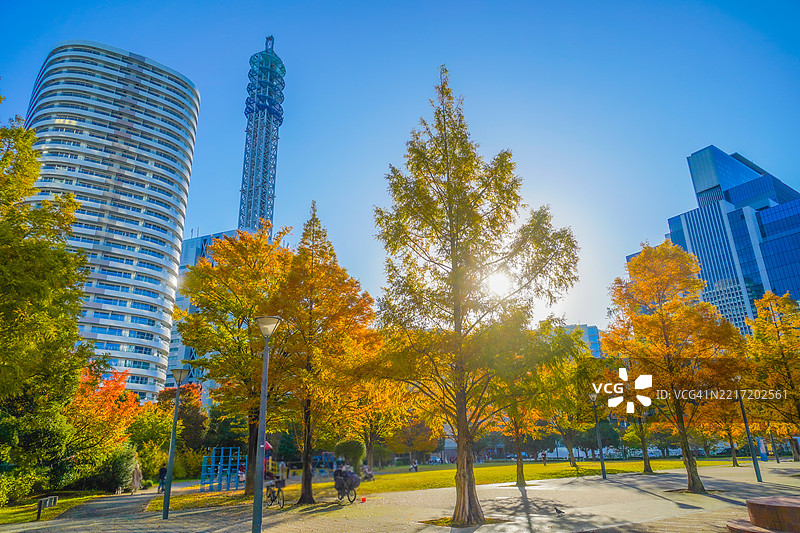 秋季天气与城市风景图片素材