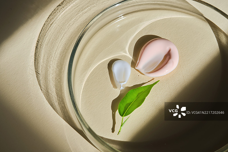 粉色和白色奶油的涂抹与培养皿中的一片叶子，激发灵感的光线图片素材