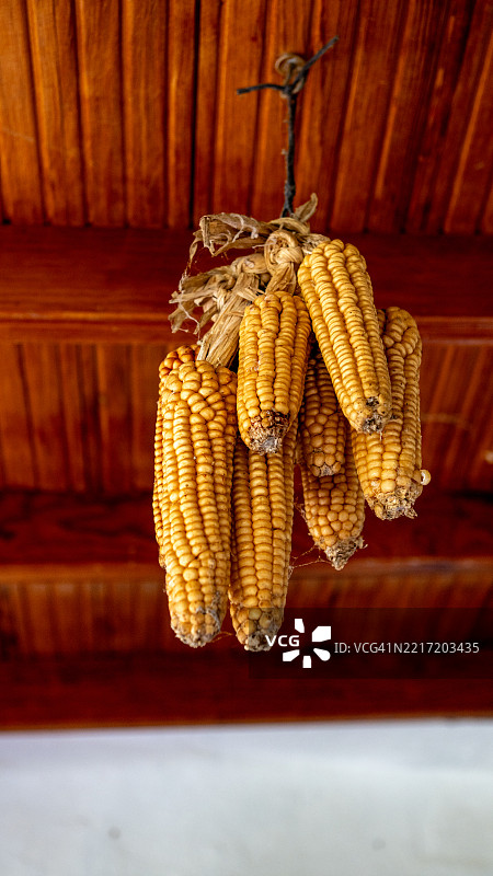 干玉米棒悬挂在木质天花板上图片素材