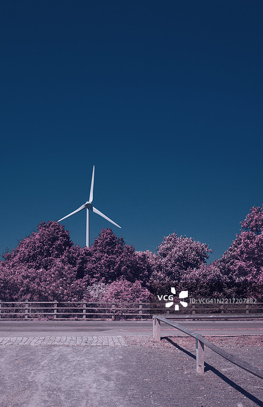 低角度视图的开花植物与晴朗的蓝天，贝德福德，英国图片素材