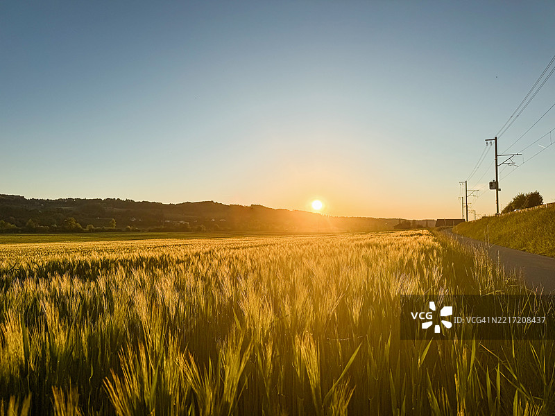 日落时分，瑞士泽茨维尔的天空与田野的美丽景色图片素材