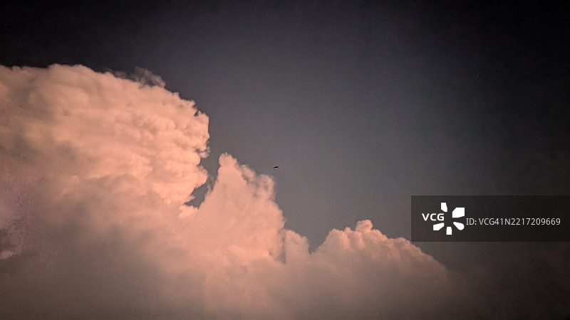 低角度视图下的天空云彩与飞过的鸟儿图片素材