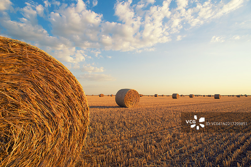农业田地上的干草堆图片素材