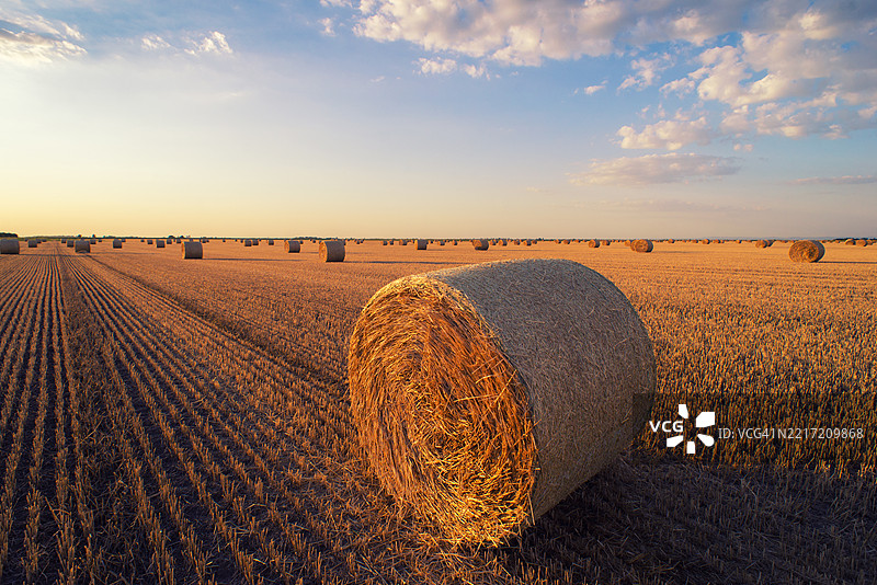 农业田地上的干草堆图片素材