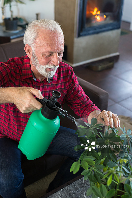 老年人在家中给室内植物浇水图片素材