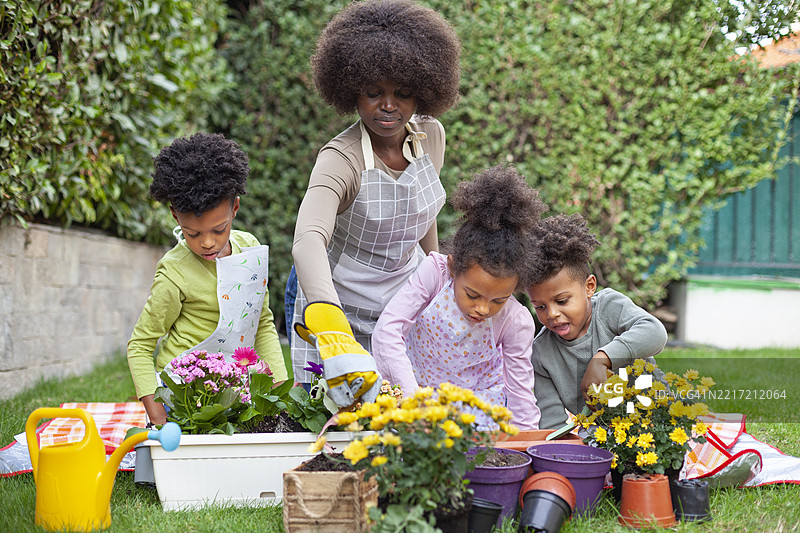 春天的日子里，快乐的家庭在后院园艺图片素材