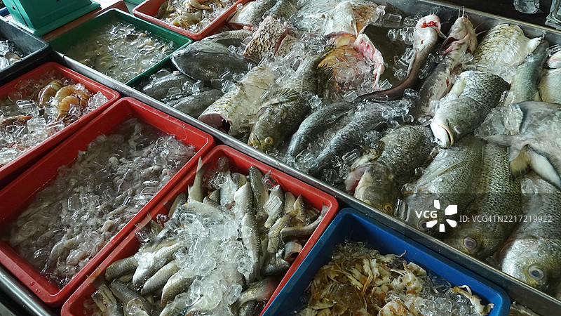 海鲜市场，蟹和多种贝类图片素材