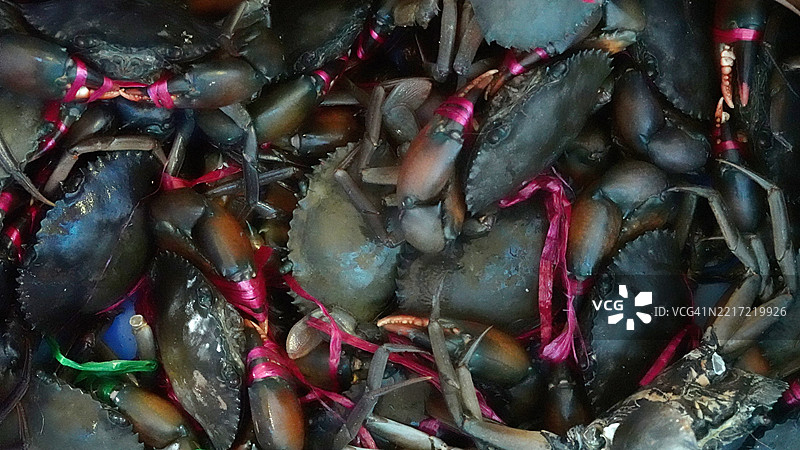 市场上的活泥蟹图片素材