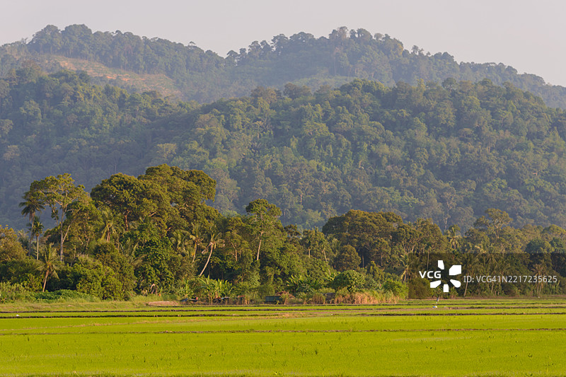 乡村风景中的山丘和牧场图片素材