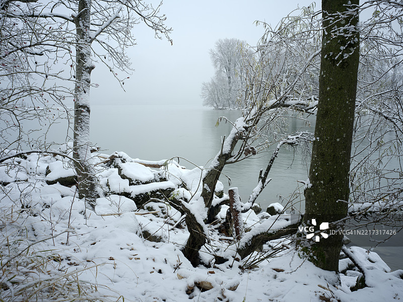 哈格内克的树和雪图片素材