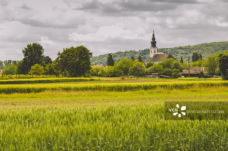 春天的心情图片素材