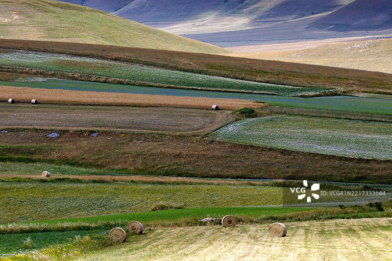 田野的美丽景色图片素材