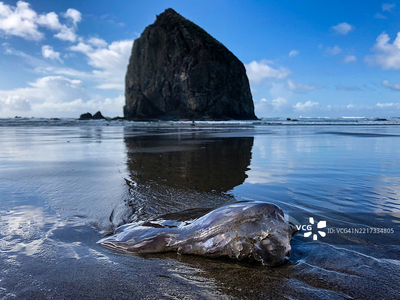 海洋与天空的美丽景色，俄勒冈州炮台海滩，美国图片素材