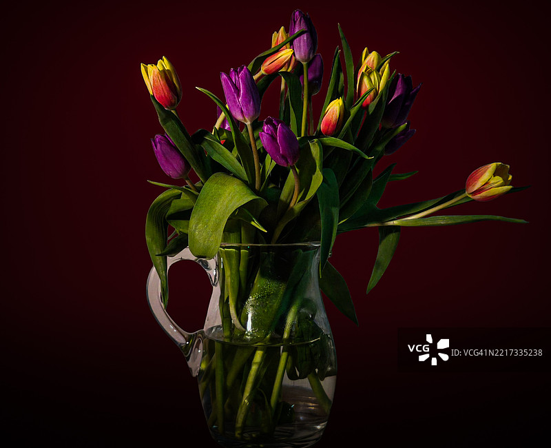 黑色背景下花瓶中的花朵特写图片素材
