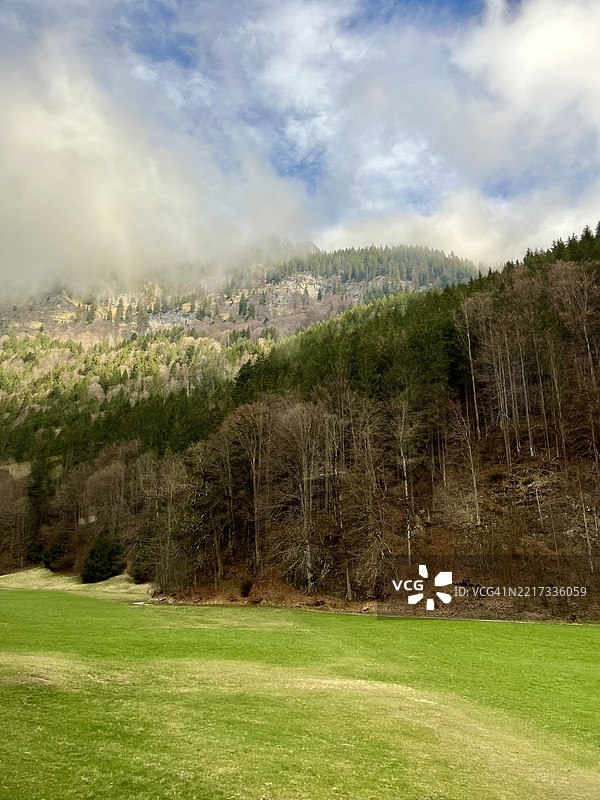 德国巴伐利亚州埃塔尔的天空下的田野上的树木图片素材