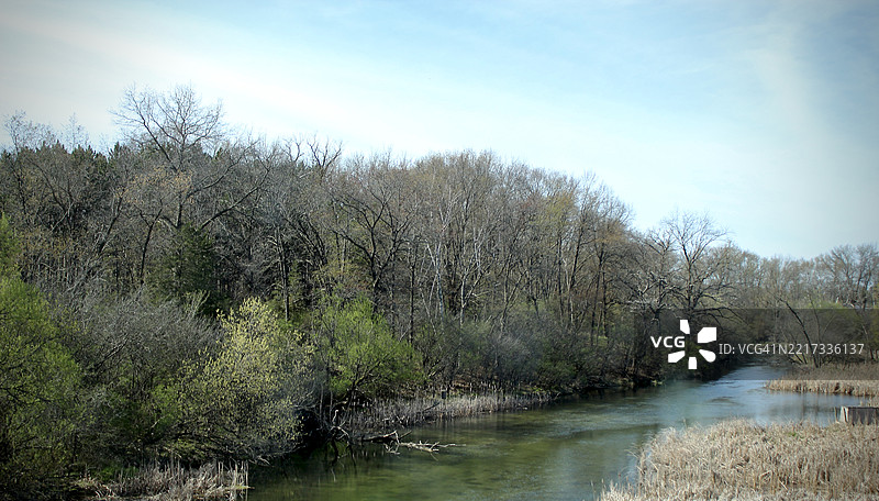 威斯康星州，美国，蓝天映衬下的树木间河流的美丽景色图片素材