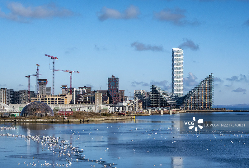 奥胡斯港口与海鸥图片素材