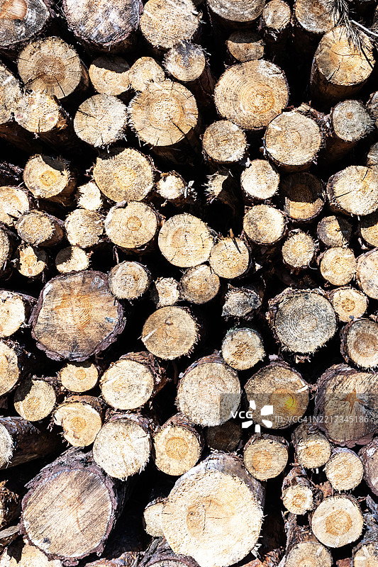 圆形切割的堆叠树干前面 - 纹理背景图片素材