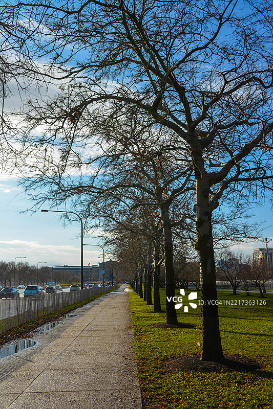 芝加哥，伊利诺伊州，美国公园里的树木图片素材