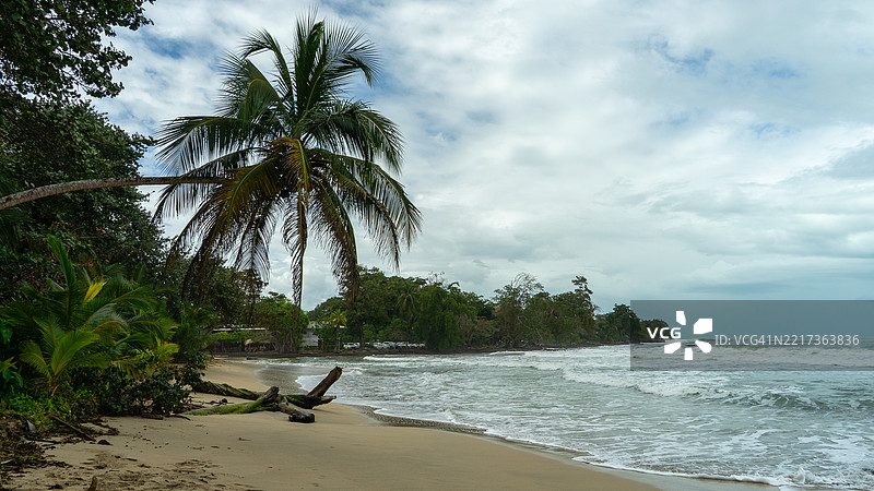 卡乌伊塔 - 哥斯达黎加加勒比海岸的国家公园，拥有美丽的海滩和雨林图片素材