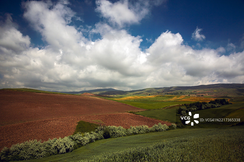 云下的分层田野图片素材