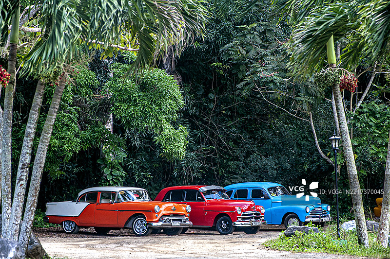 停放的经典汽车。出租车。维尼亚莱斯山谷，古巴皮纳尔德里奥。图片素材