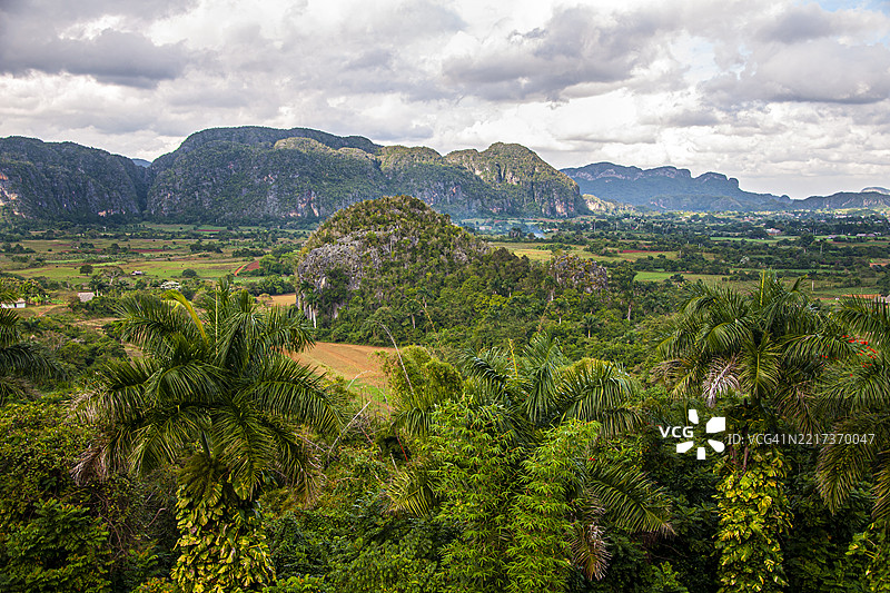 维纳莱斯山谷，维纳莱斯谷，古巴皮纳尔德里奥。石灰岩山脉（莫戈特）和农业景观。图片素材