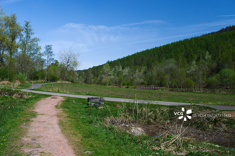 树木间的道路与天空的美丽景色图片素材