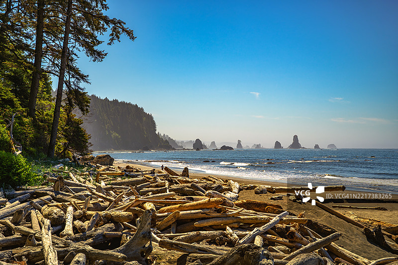 华盛顿州拉普什第三海滩的漂流木和海堆图片素材