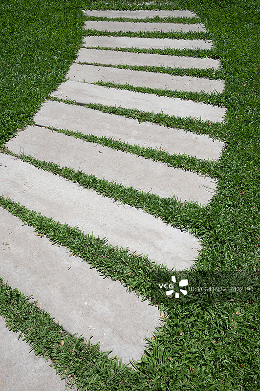 花园中的草地小径图片素材