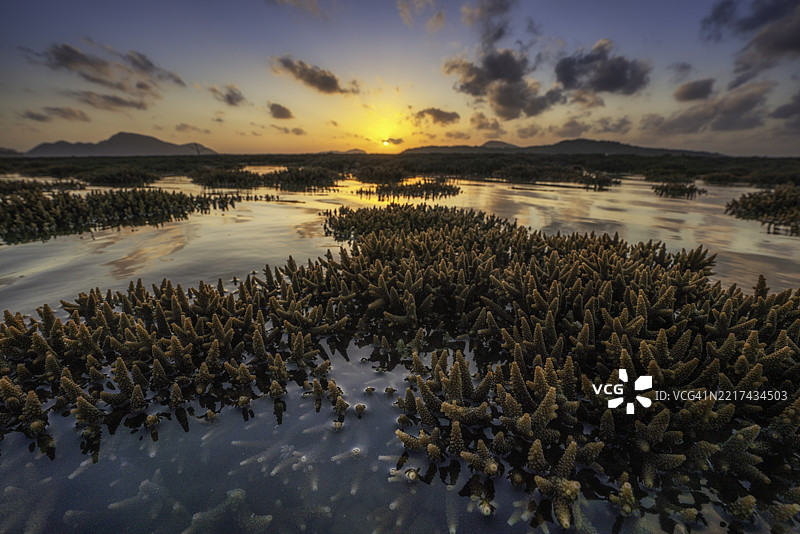 普吉岛拉瓦伊海滩的美丽日出与珊瑚礁图片素材