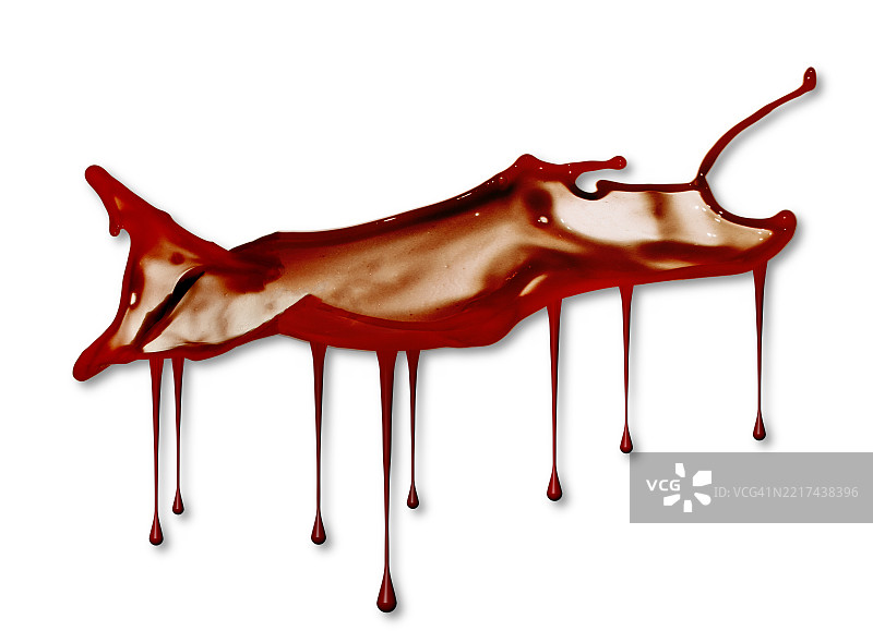 血滴和飞溅在白色背景上滑落和流淌。图片素材