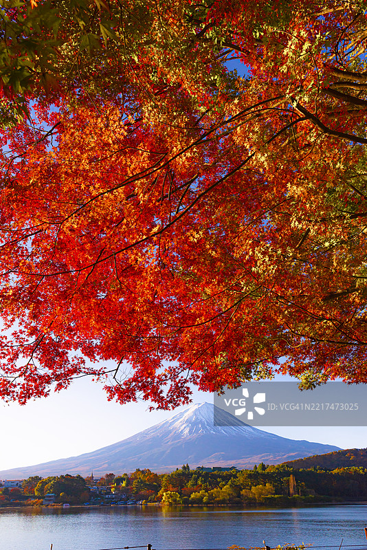 日本山梨县河口湖的秋季富士山图片素材