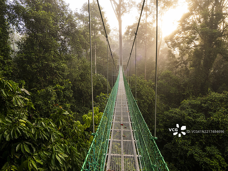 婆罗洲丹农谷热带雨林的树冠景观图片素材