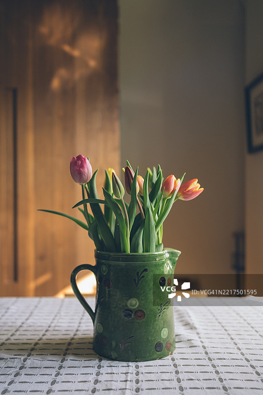 新鲜的郁金香放在旧茶壶里图片素材
