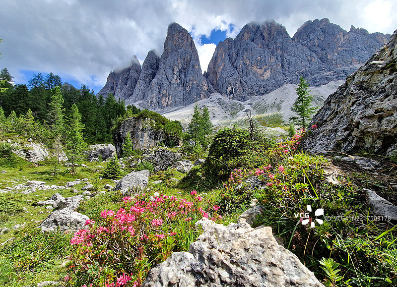 在多洛米蒂山脉的阿道夫·穆克小径上俯瞰盖斯勒山群（意大利语：Gruppo delle Odle）图片素材