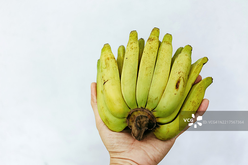 中越种植的巴拿马蕉图片素材