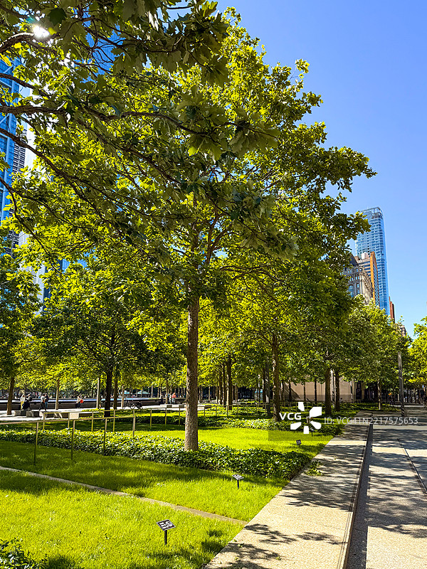 纽约市国家九一一纪念馆的纪念广场图片素材