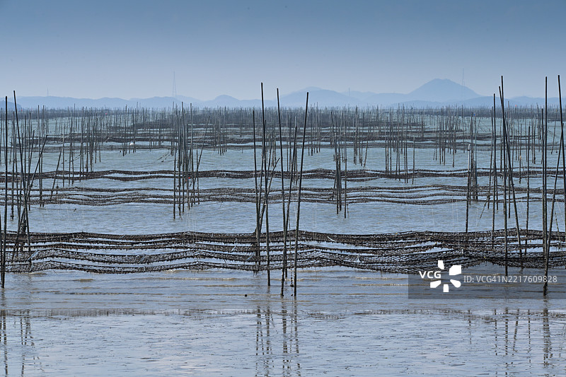 全南，新安郡，阿波海岛图片素材