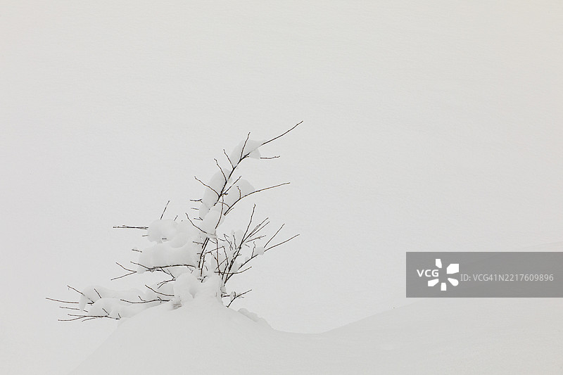 北海道雪景色图片素材