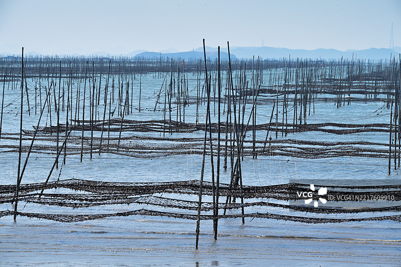 全南，新安郡，阿波海岛图片素材
