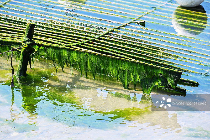 全南，长兴郡，梅生基图片素材