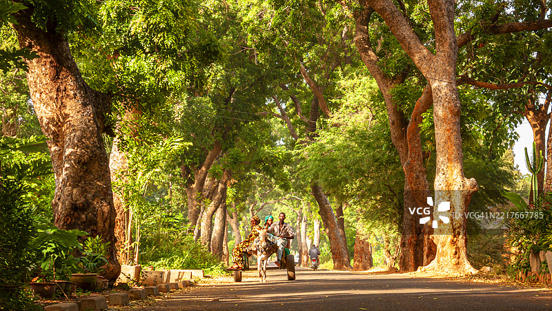 马里，塞古市的林荫大道图片素材