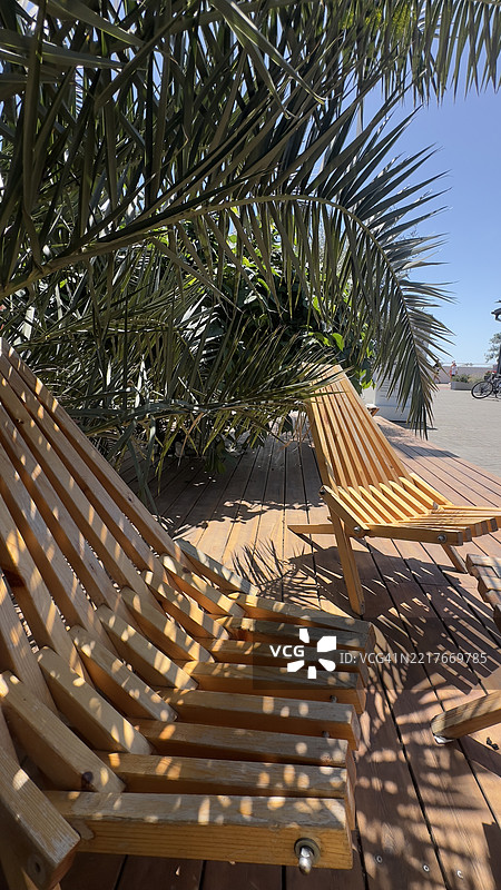 阳光明媚的日子里，热带棕榈叶下的木质休闲椅图片素材