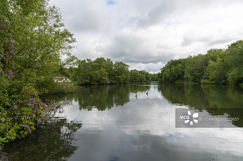 曼彻斯特希顿公园的划船湖图片素材
