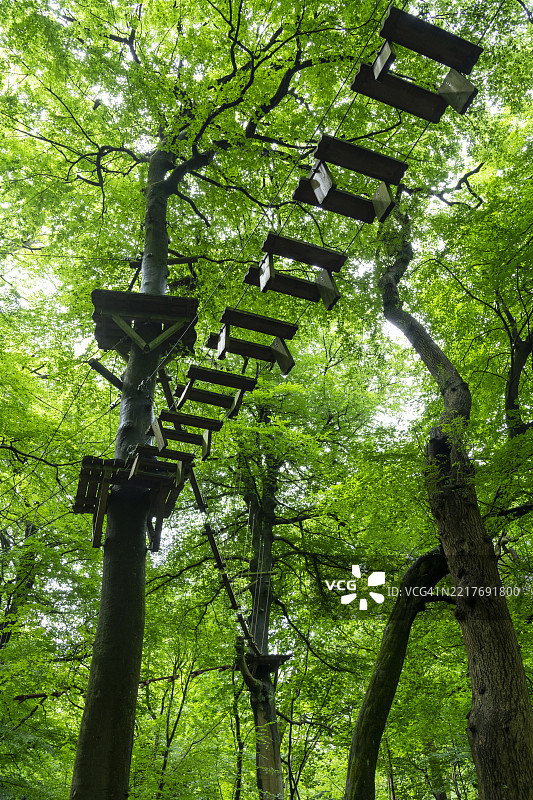 希顿公园树顶探险，曼彻斯特，英格兰图片素材