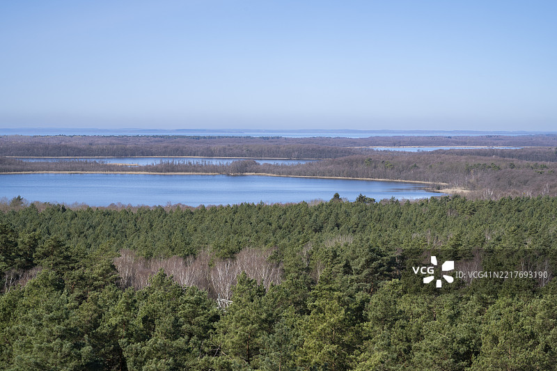 普里斯特贝克湖,混合林,白桦树和松树,从凯夫林斯堡塔的视角,穆里茨国家公园,梅克伦堡湖区,梅克伦堡,梅克伦堡-前波美拉尼亚,德国,欧洲图片素材