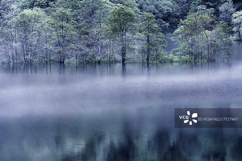 乌兰大湖秋元的晨景图片素材