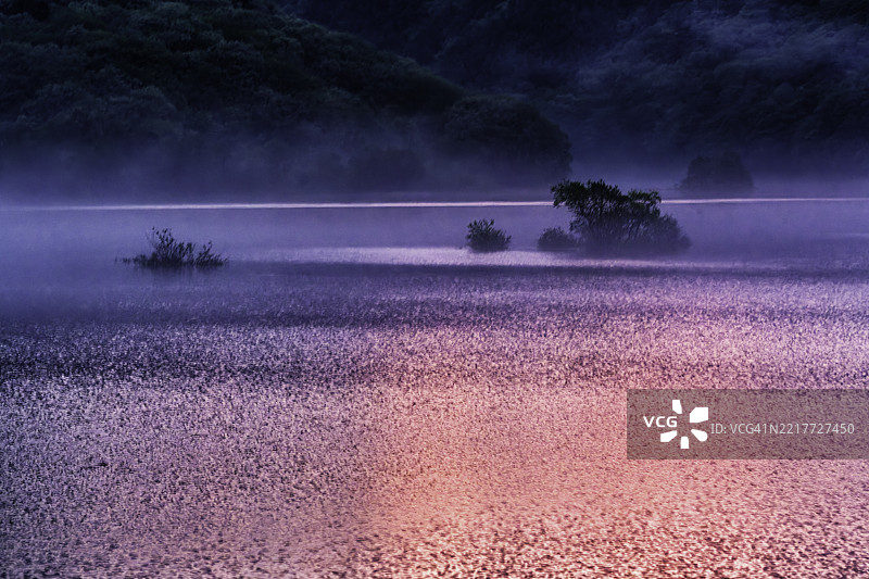 乌兰大湖秋元的晨景图片素材