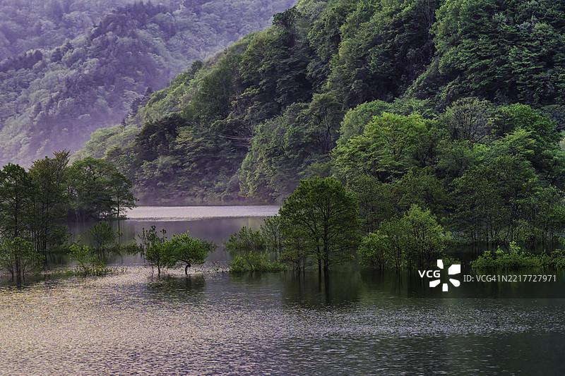 乌兰大湖秋元的晨景图片素材